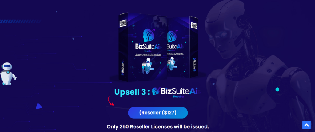 Upsell 3 BizSuiteAi